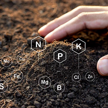 Fertilizers & soil conditioners