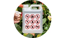 Plant protection product
