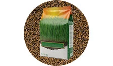 Professional grass seed