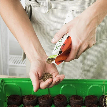 Zöldségvetőmagok kora tavaszi palántanevelésre