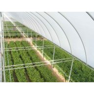 Film TVK 12x60m 0,15 UV 2 years S2N