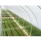 Film TVK 12x60m 0,15 UV 2 years S2N