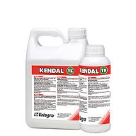 Kendal TE 1 l