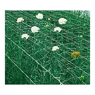 Növénytartóháló 15x15x500m (1.2m széles)