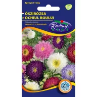 Őszirózsa Prinzess színkeverék 1 g