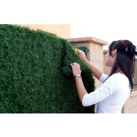 Mesterséges sövény Campovert 1m x 3m