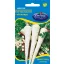 Petrezselyem Hosszú 5 g