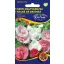 Raspberry Rose colour mix 0,5 g