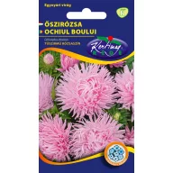 Őszirózsa Tűszirmú rózsaszín 1g