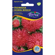 Őszirózsa Tűszirmú piros 1g