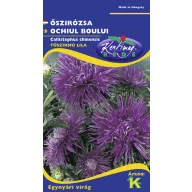 Őszirózsa Tűszirmú lila/kék 1g