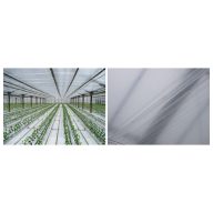 Fólia TVK 11x100m 0,06 Belső UV S1B