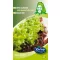 Vetőmagszalag Tépősaláta Lollo Bionda/Lollo Rossa/Salad Browl 3x1,33 m