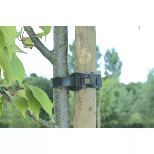Fatörzsrögzítő gumibilincs Tree Tie  55 cm