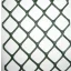 Baromfirács BN-50 0,5x30m (22x22)