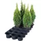 Super tray for 18 pots 19-21 cm