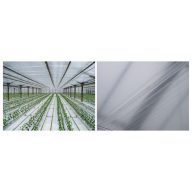 Fólia TVK 12x100m 0,09 Belső UV Cseppmentes S1BC