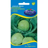 Cabbage June Giant 2g