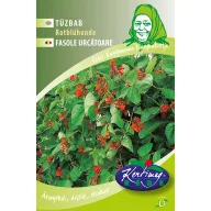 Karósbab Tűzbab Rotblühende 30g