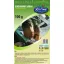 Fodder beet Eckendorfi yellow 100g