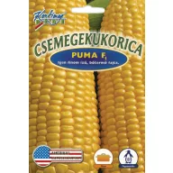 Csemegekukorica Puma F1 50 szem