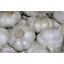 Dughagyma Garlic 5 kg