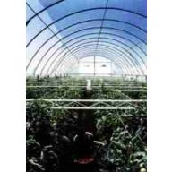 Fólia TVK 16 m széles 0,15 UV 2 éves S2N méretre vágva