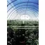 Foil TVK 16 m wide 0,15 UV 2 years cut to size S2N