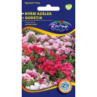 Nyári azálea 0,25g