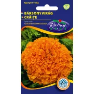 Bársonyvirág alacsony nagyvirágú (narancs) 1 g