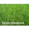 ICL Grass Seed Supreme 5 kg