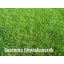 ICL Grass Seed Supreme 5 kg