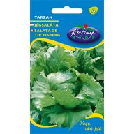 Iceberg lettuce Tarzan 3 g