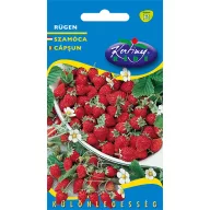 Földieper Rügen 0,2 g