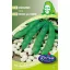 Dry edible beans Coco 50 g