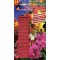 Vitaflora Fern flowering plant 30 pcs