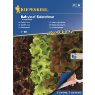 Vetőszalag Saláta keverék Salatwiese 4x2,5 m Kiepenkerl