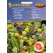 Illatos virág mix 50 szem Kiepenkerl