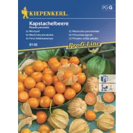Peruvian Strawberries 30 seeds Kiepenkerl
