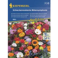 Csigáknak ellenálló virágszimfónia 2 m2-re Kiepenkerl