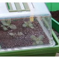   Mini üvegház fűthető "Heating Grow" 39x25x20 cm