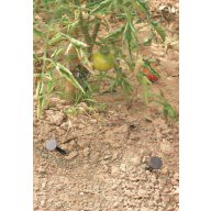   Leszúró tüske vakondháló, geotextil rögzítéséhez 12,5 cm " Nort Spike" 20 db