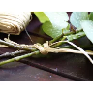 Kötöző raffia natúr 500g