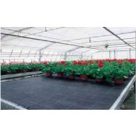 Agro fabric black 100g/m2 1,6x10m