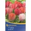 Tulipánhagyma Darwin-hybrid, Kiepenkerl Van Eijk Mix 7 db