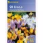 Krókusz hagyma botanikai, Kiepenkerl Mix 20 db