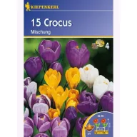 Krókusz hagyma nagyvirágú, Kiepenkerl Mix 15 db