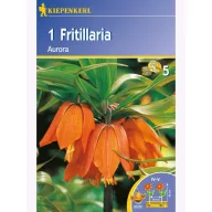 Császárkorona Kiepenkerl Aurora 1 db