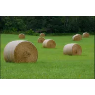 Fűmag Kaszáló Greenland keverék 25 kg