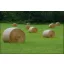 Grass Seed Mower Greenland mixture 25 kg